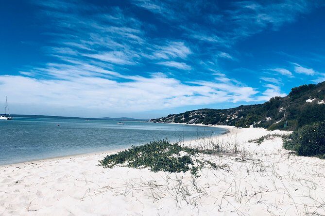 West Coast National Park private tour - A Deep Dive into the West Coast National Park Private Tour