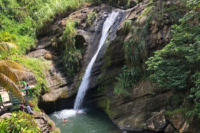 west-coast-rum-distillery-concord-waterfall-nutmeg-processing