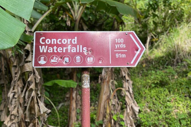 west-coast-rum-distillery-concord-waterfall-nutmeg-processing