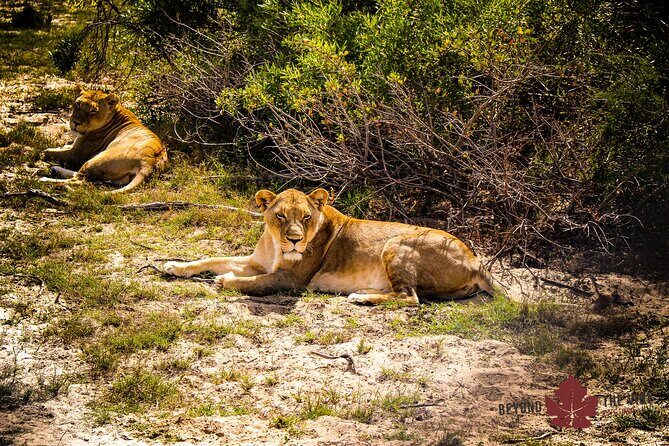 West Coast Safari and Khoi San village COMBO - PRIVATE TOUR - Authenticity and Guides