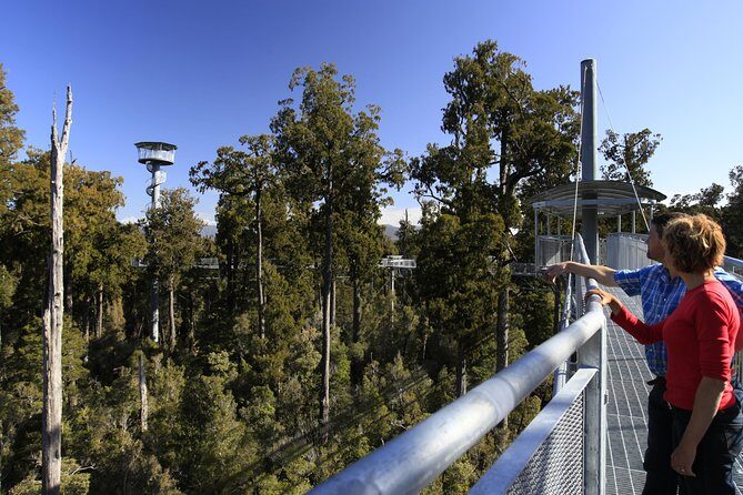West Coast Tree Top Walk Experience - The Zipline and Additional Activities