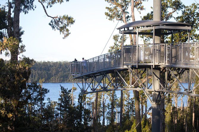 West Coast Tree Top Walk Experience - Final Thoughts: Is It Worth It?