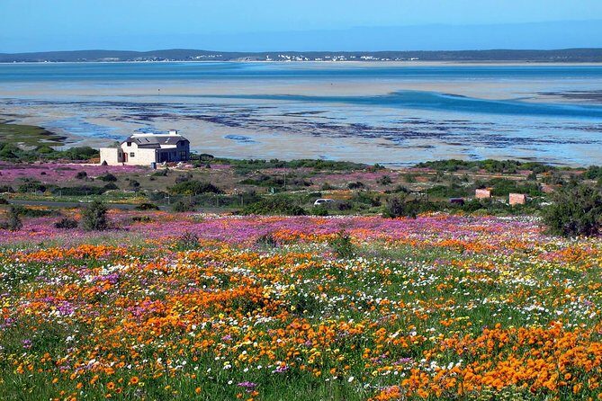 West Coast Wonders Full Day Tour with Private Transfer - How the Tour Works Logistically