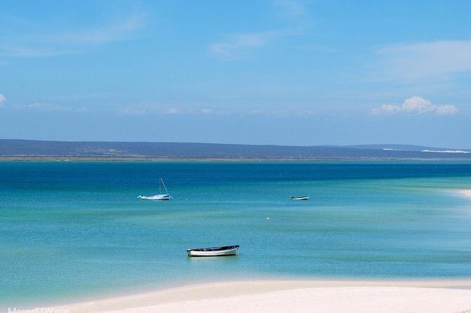 West Coast Wonders Full Day Tour with Private Transfer - Price and Value