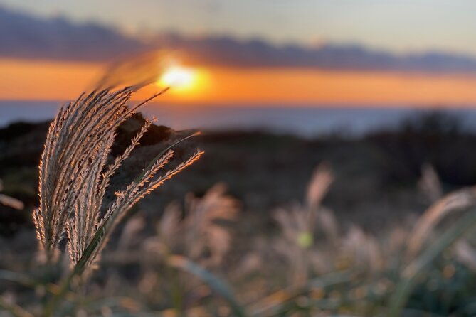 west-izu-sunset-private-tour