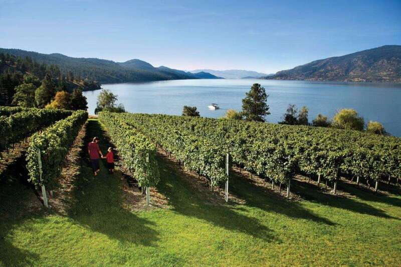 west-kelowna-wine-tour-with-tastings