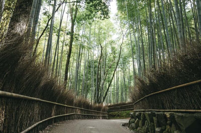 West Kyoto & Arashiyama: In-Depth 1-Day Cultural Tour - FAQs