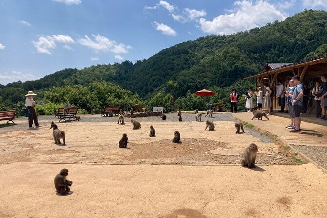 West Kyoto & Arashiyama: Walking 1Day Tour w/Matcha & Calligraphy - A Detailed Look at the Itinerary and Experience