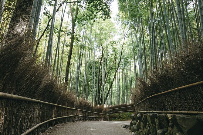 West Kyoto & Arashiyama: Walking 1Day Tour w/Matcha & Calligraphy - Encountering Monkeys at Iwatayama