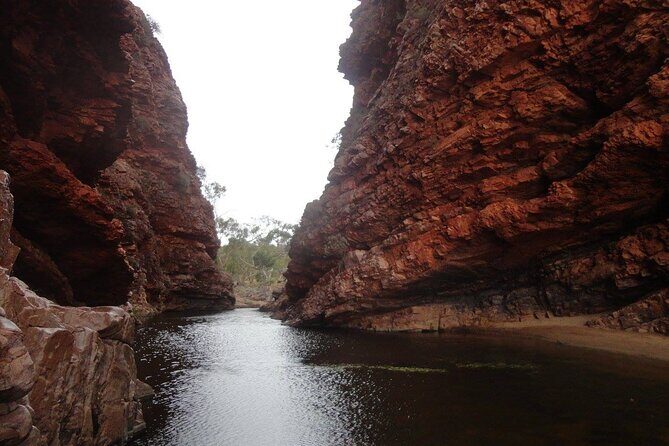 West MacDonnell Ranges Half day Tour -Small Group - Discovering the West MacDonnell Ranges: An Honest Review of the Half-Day Small Group Tour