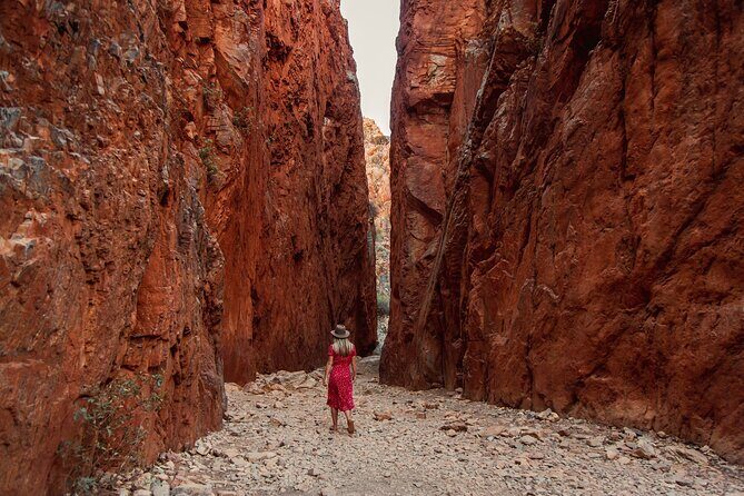 West MacDonnell Ranges Half day Tour -Small Group - Who Is This Tour Best For?