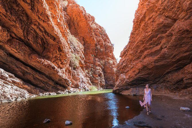 West MacDonnell Ranges- Half Day Trip from Alice Springs - Wrapping It Up