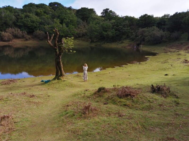 west-madeira-laurel-forest-waterfall-rock-pools-walk