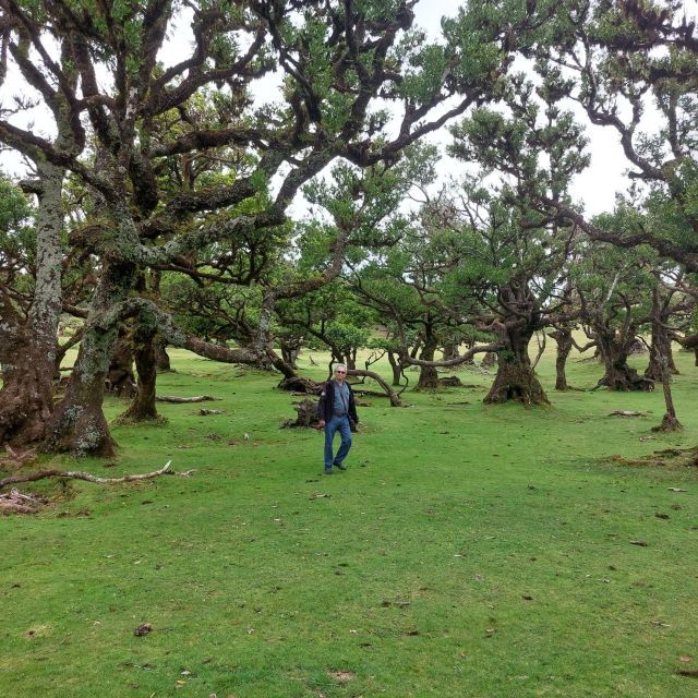 west-madeira-laurel-forest-waterfall-rock-pools-walk