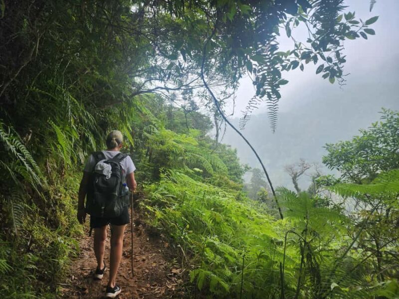 West Manggarai: Waerebo Traditional Village 2-Day Road Trip - An Overview of the Tour Experience