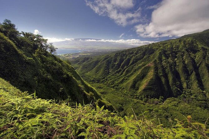 west-maui-adventure-tour-with-private-guide