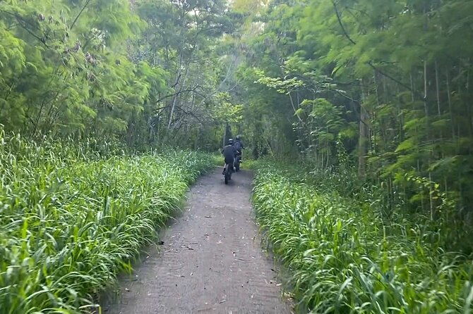 west-maui-self-guided-e-bike-kapalua-jungle-adventure-tour