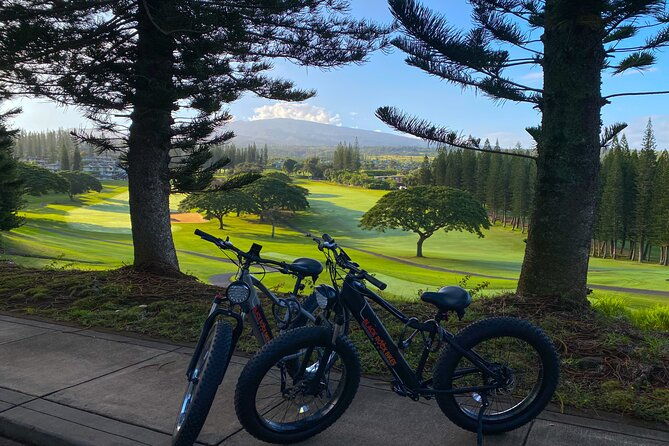 west-maui-self-guided-e-bike-kapalua-jungle-adventure-tour