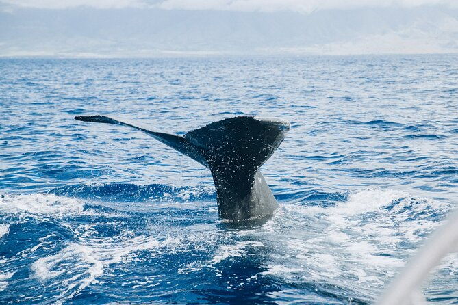 west-maui-snorkel-sail-from-maalaea-harbor