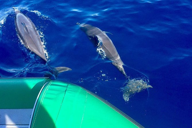 west-maui-snorkeling-experience-by-boat-from-kaanapali