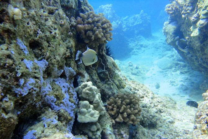 west-maui-snorkeling-experience-by-boat-from-kaanapali