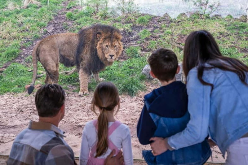West Midlands Safari Park: Day Admission Ticket - Final Thoughts