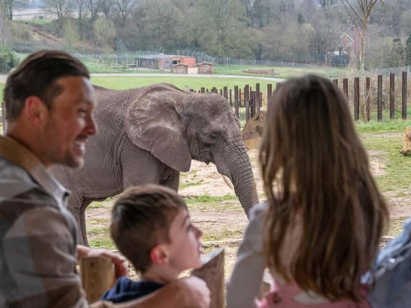West Midlands Safari Park: Day Admission Ticket - FAQ