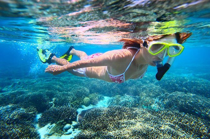 West Oahu Green Sea Turtle and Dolphin Snorkel Sail with Lunch - FAQ