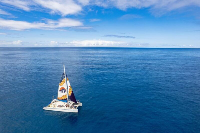 west-oahu-turtles-dolphins-and-snorkeling-tour-with-lunch