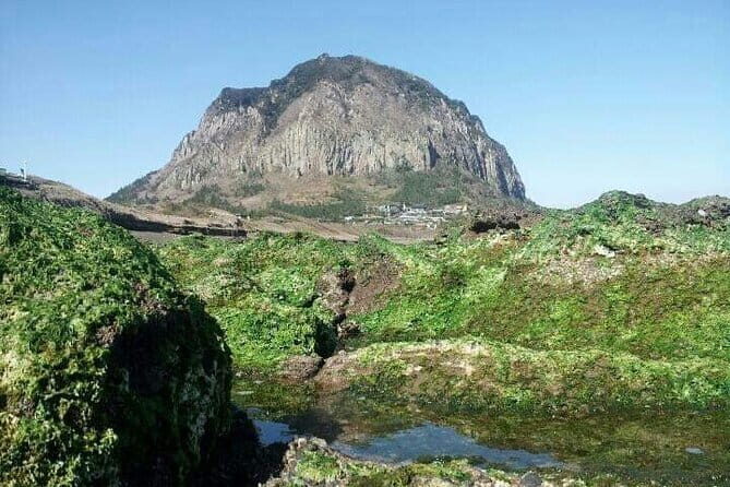West of jeju private Jumbo taxi tour with Mr.KO (Suhong) - In-Depth Look at the Itinerary