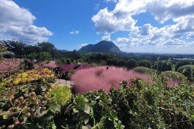 West of jeju private Jumbo taxi tour with Mr.KO (Suhong) - Practical Tips for Your Trip