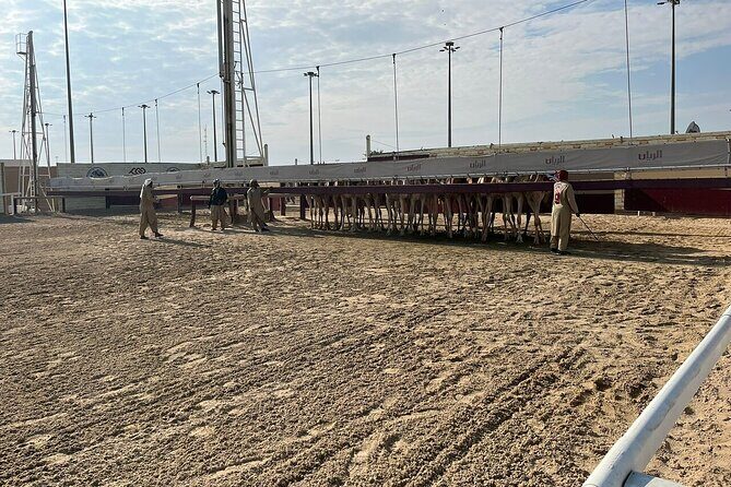 West Of Qatar, Mushroom Rocks, Camel Racing Track, Richard Serra - Zekreet Fort Ruins