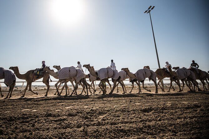West Of Qatar Richard Serra sculpture, Mushroom Hills,Camel track - FAQs