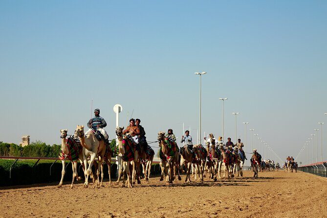 West of Qatar Tour - Exploring the West of Qatar: An In-Depth Look