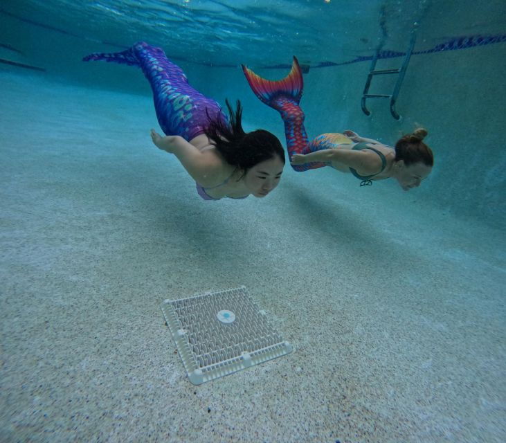 west-palm-beach-become-a-mermaid