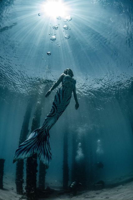 west-palm-beach-become-a-mermaid