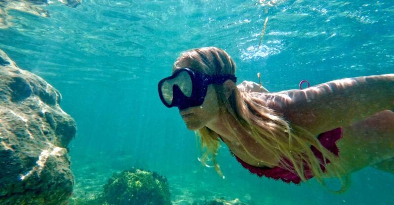 West Palm Beach: Beginner Snorkel Tour with Turtles & Videos - Introduction