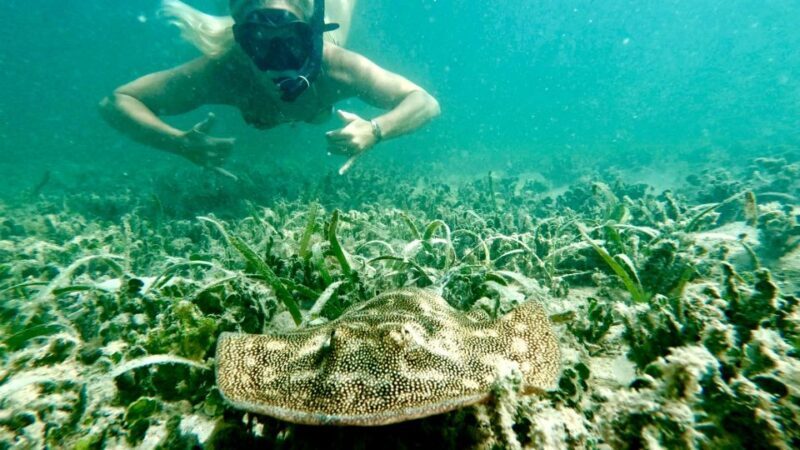 West Palm Beach: Beginner Snorkel Tour with Turtles & Videos - The Equipment and Facilities