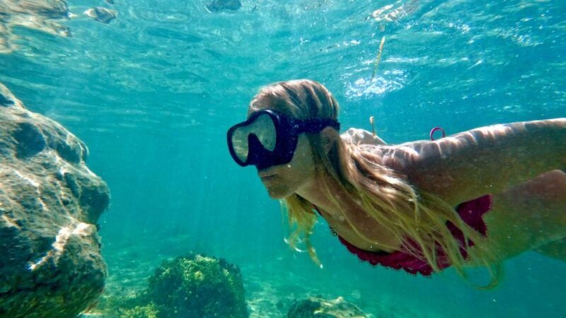 West Palm Beach: Beginner Snorkel Tour with Turtles & Videos - The Experience: What Travelers Say