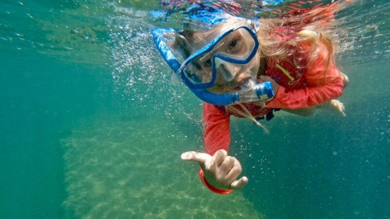 west-palm-beach-beginner-snorkel-tour-with-turtles-videos