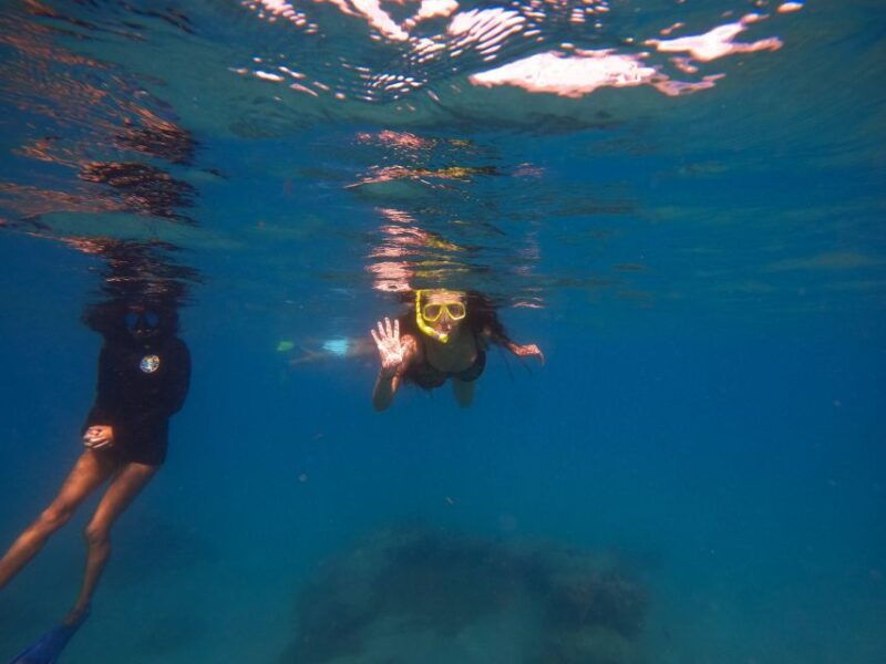 west-palm-beach-blue-heron-bridge-guided-snorkeling-tour