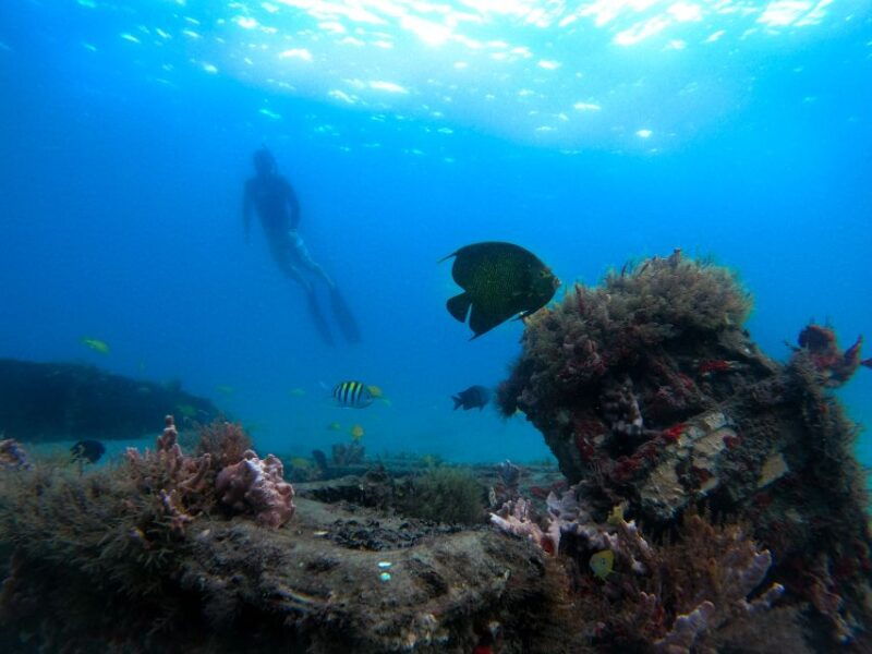 west-palm-beach-blue-heron-bridge-guided-snorkeling-tour