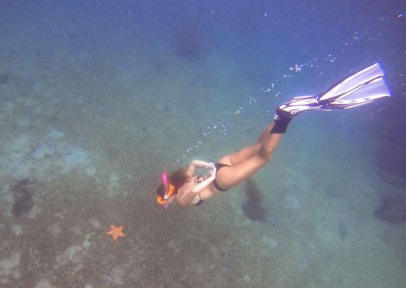 west-palm-beach-blue-heron-bridge-guided-snorkeling-tour