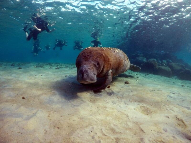 west-palm-beach-private-peanut-island-boat-snorkel-tour
