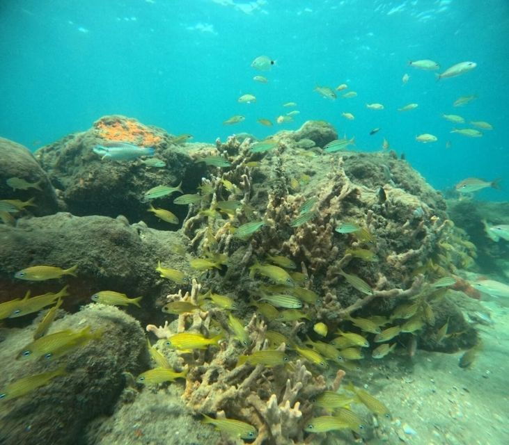 west-palm-beach-private-peanut-island-boat-snorkel-tour
