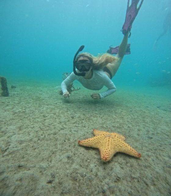 west-palm-beach-private-peanut-island-boat-snorkel-tour