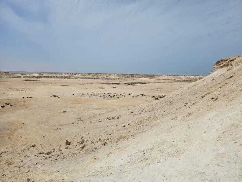 West Qatar-Doha Richard sierra,camel race,mushroom rock - Who Should Consider This Tour?