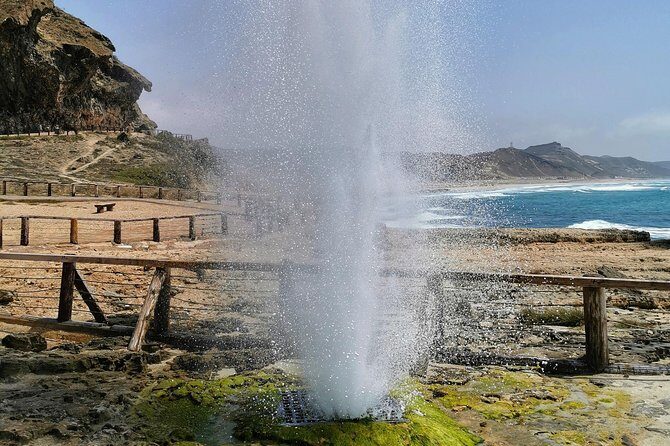 West Salalah, Al Mughsail Beach, White Beach, Frankincense Tree (Half day Tour) - The Sum Up