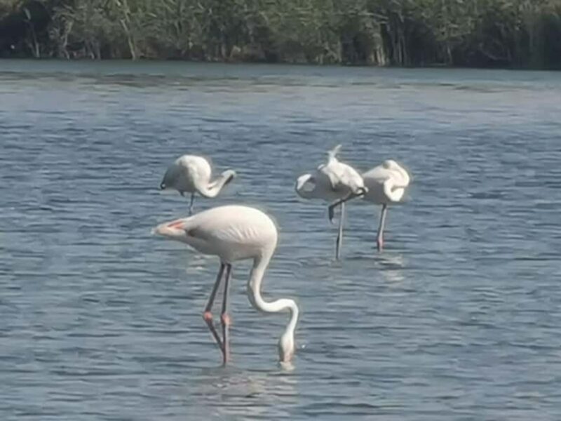 West Salalah Tour by VisitSalalah - Value and Cost Analysis