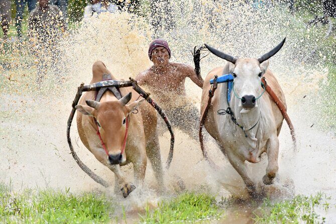 West Sumatra Private Tour from Padang By Private Car - Introduction